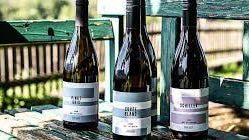 VON SALIS WEINE, CH - MAIENFELD