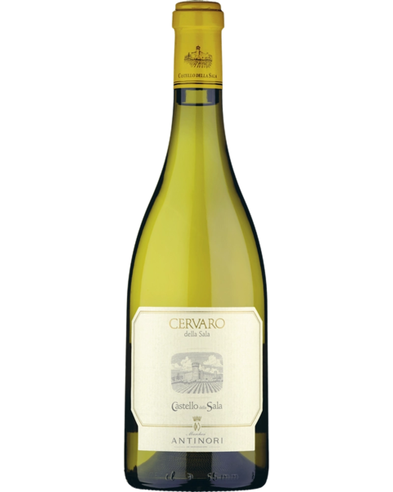 Heller Cervaro della Sala 2024 Umbrigia Weißwein von Marchesi Antinori in einer Flasche auf einem Weinglas.