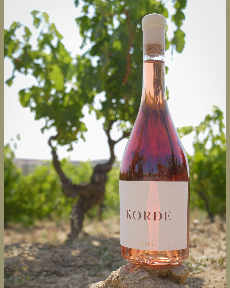 Pinea KORDE Rosado 2023 D.O. Ribera del Duero Roséwein, klare rosa Farbe, elegante Flasche vor hellem Hintergrund